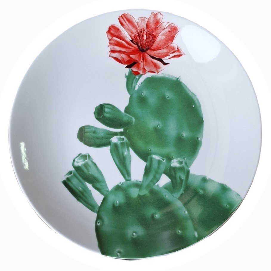 Dinner plate Color cactus  decorated porcelain 1 piece